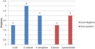 Bacterial etiologies, antimicrobial susceptibility pattern and associated factors among patients suspected sterile body site infections at Debre Markos Comprehensive Specialized Hospital, Northwest Ethiopia